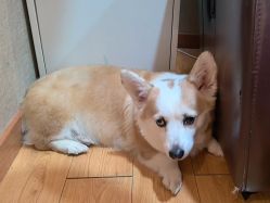 -鲸彩·美甲美睫科技护肤