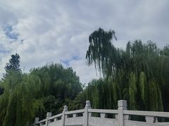 -台儿庄古城