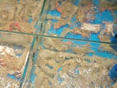 -隐厨·海鲜餐厅(恒通路店)