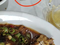 -全乐鱼馆·淳牌有机鱼直营店
