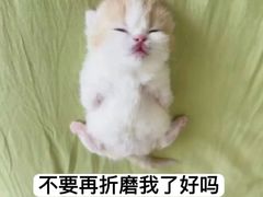 -非烤勿扰自助烤肉(深圳宝安华强广场店)