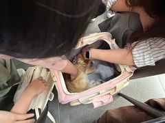 -帝京日语(春熙路旗舰校区)