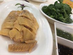 白斩鸡-顺风海鲜港(金玉兰店)
