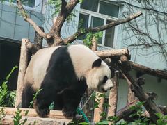 -北京动物园