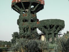 -芒洲湿地公园