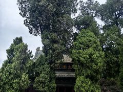 -报恩寺(平武县)