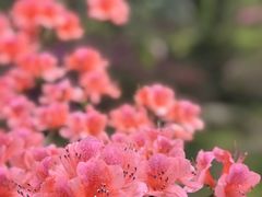 -东湖生态旅游风景区