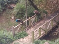 -苏州环秀晓筑养生度假村