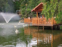 -深圳野生动物园