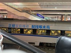 -合肥南站