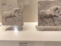 -张掖市博物馆