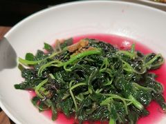 清炒苋菜-曾宴·楚菜(湖北省博物馆店)