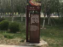 -武清南湖绿博园