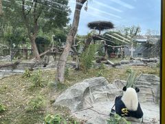 -武汉动物园