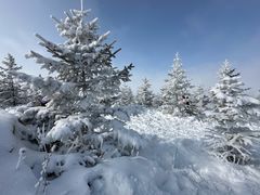 -密苑云顶乐园(云顶滑雪场)