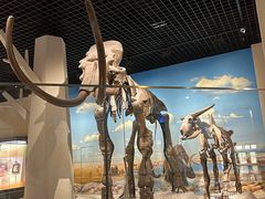 -国家自然博物馆