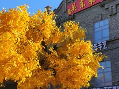 -中华巴洛克风情街