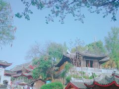 绛初匀·樱花茶-鸡鸣赐茶(鸡鸣寺路店)