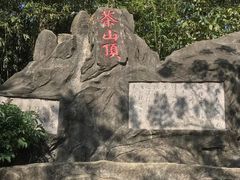 -东莞市大岭山森林公园