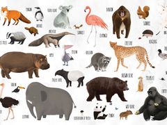 -星巴克臻选(南京艾尚天地店)