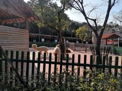 -无锡动物园·太湖欢乐园