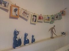 Anne猫窝咖啡屋-Anne猫窝咖啡屋