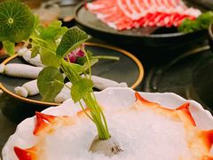 北极贝-龙门养心粥火锅(祥恒广场店)