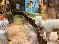 -宝燕乐园(闵行旗舰店)