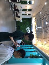 短发-Hair ART造型沙龙