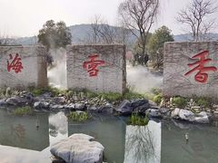 -香雪海