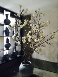 点击看大图 -保丽宝泰母婴护理院·月子中心·产康·中医(常州店)