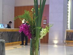 -上海浦东康桥绿地假日酒店