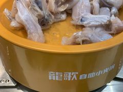 -龍歌自助小火锅(芝罘万达店)