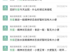 -瑞派动物医院·绝育·犬猫全科·预防医学(光景江南中店)