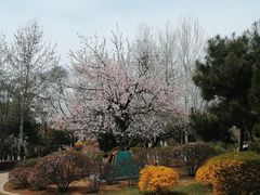 -前关湿地公园