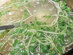 -佬肥猫(国华广场店)