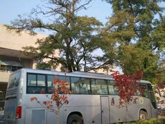 -辽宁大学(崇山校区)