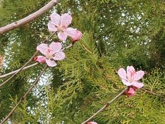 -中关村生命科学园