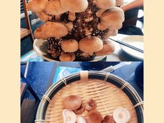 活体松香菇-捞王锅物料理(上海世茂广场店)