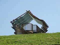 -合肥滨湖国家森林公园