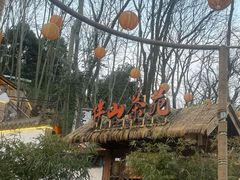 -伴山茶苑·围炉煮茶