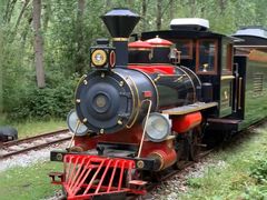 -合肥滨湖国家森林公园