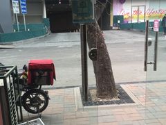 -沪上阿姨鲜果茶(华新大街店)