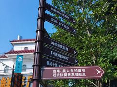 -杨梅坑