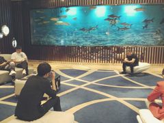 -诺莱仕游艇会