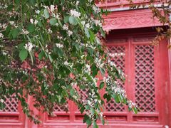 -大钟寺古钟博物馆