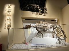 -国家自然博物馆