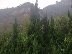-神农山景区