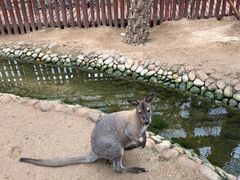 -呀路古热带植物园