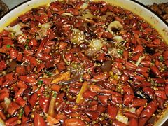 毛血旺-雲蜀龙阁·金牌水煮鱼(方庄店)